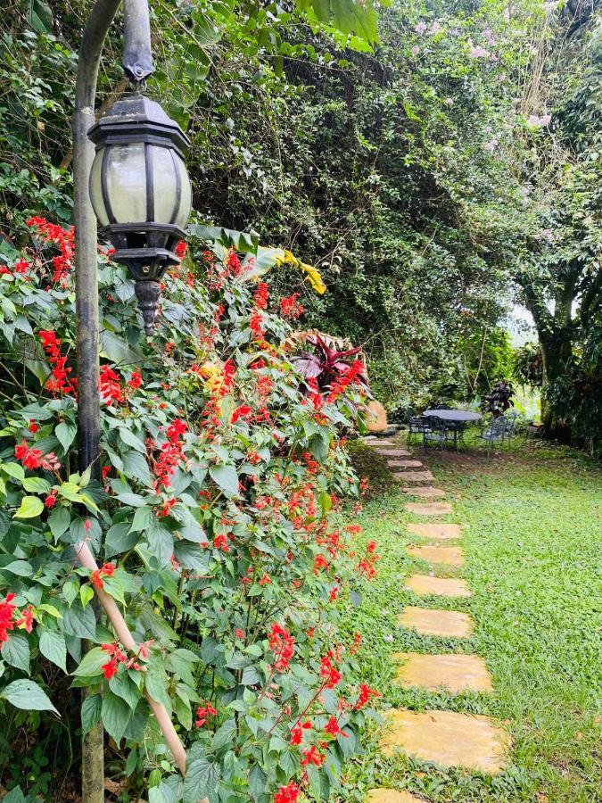 Finca Hotel Los Girasoles Montenegro Eksteriør bilde